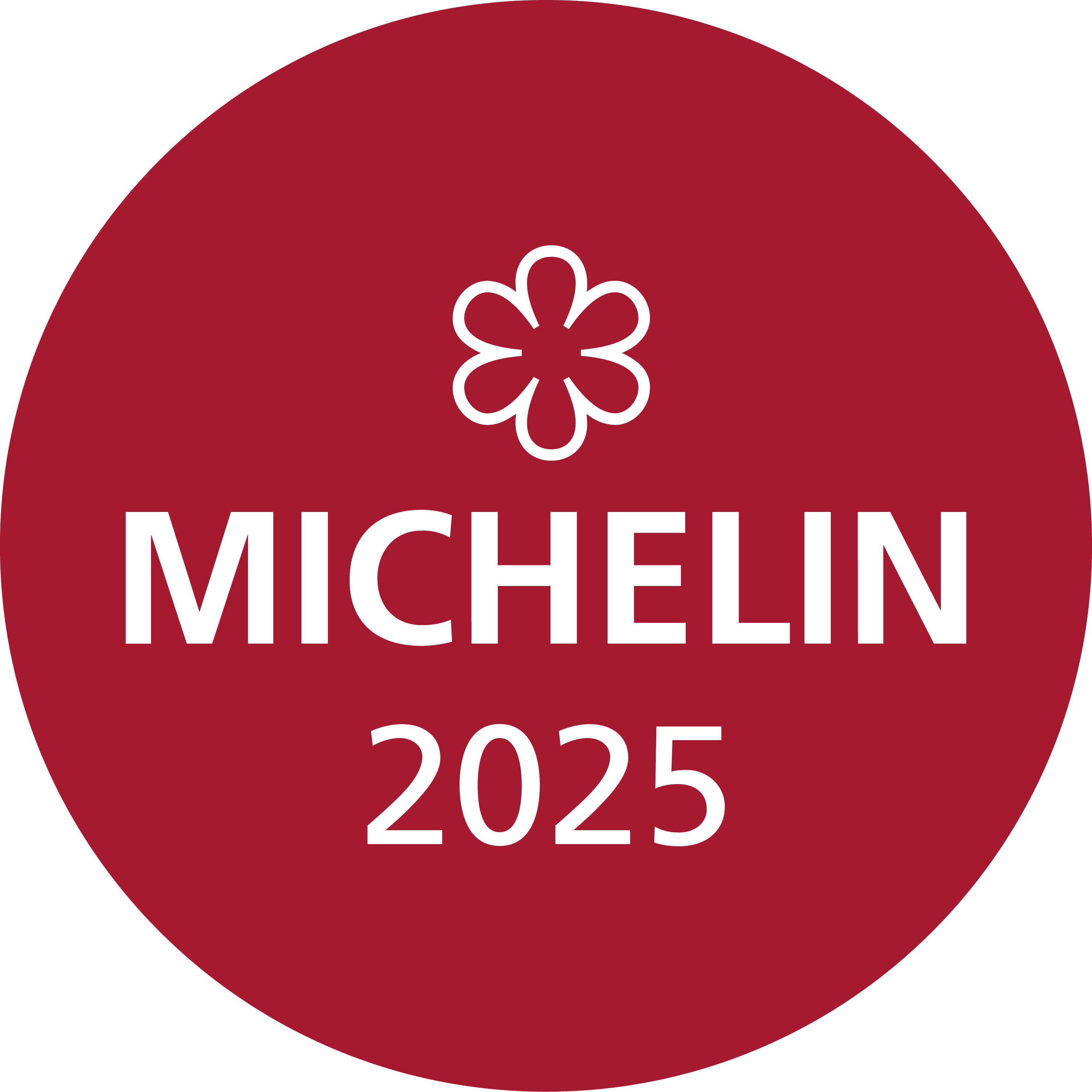 MICHELIN 2025_1 Star_E-label