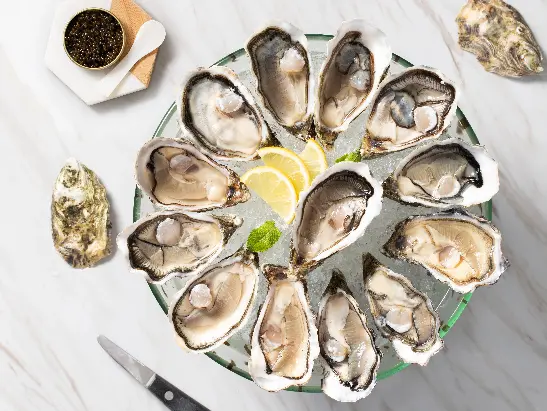 Oyster (1)