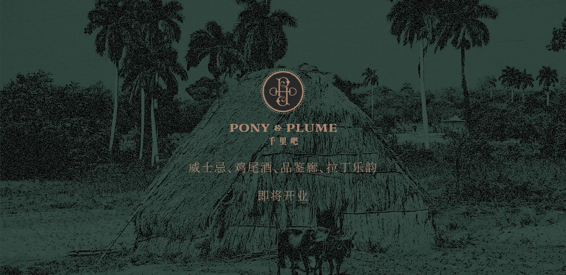 Pony & Plume web banner_SC02